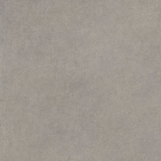 Castelvetro Terrae Silver 100x100