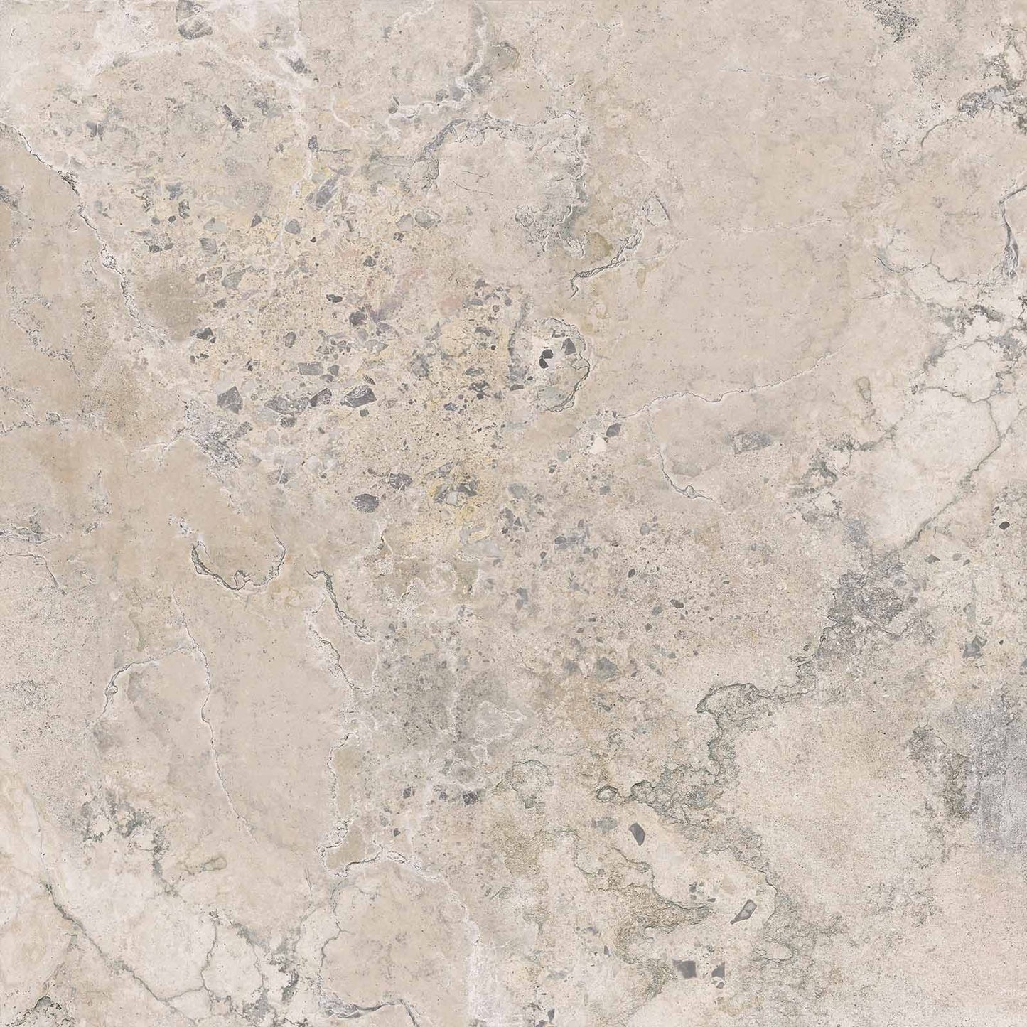 Gardenia&Ariana Pietra Viva Camargue Ivory P-Tech Rettificato 8,5mm 80x80