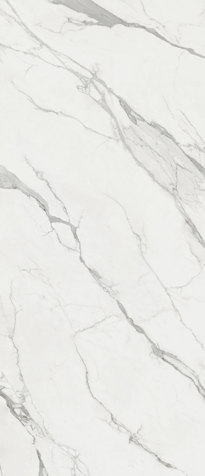 Gardenia&Ariana La Marmoteca Statuario Premium Lux Rettificato 6mm 120x280