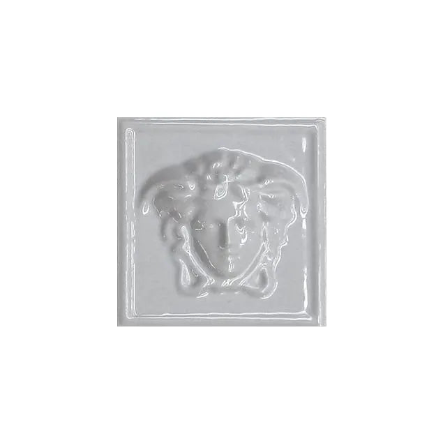 Versace Emote Medusa 3D Grigio 10x10 Naturale