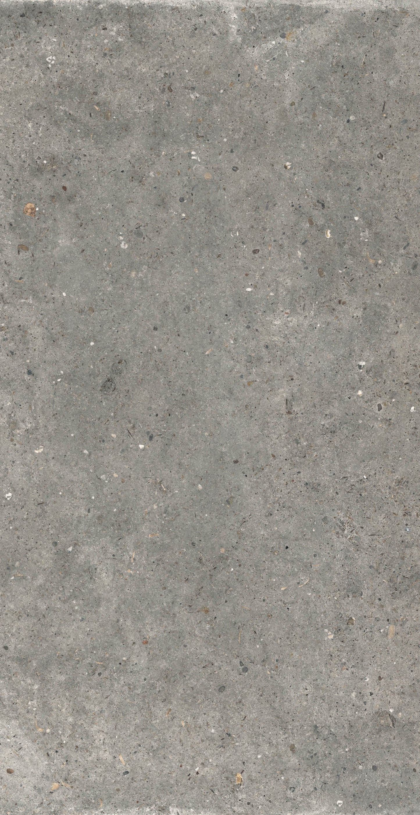 Gardenia&Ariana Anima Fango R11 Rettificato 20mm 60x120