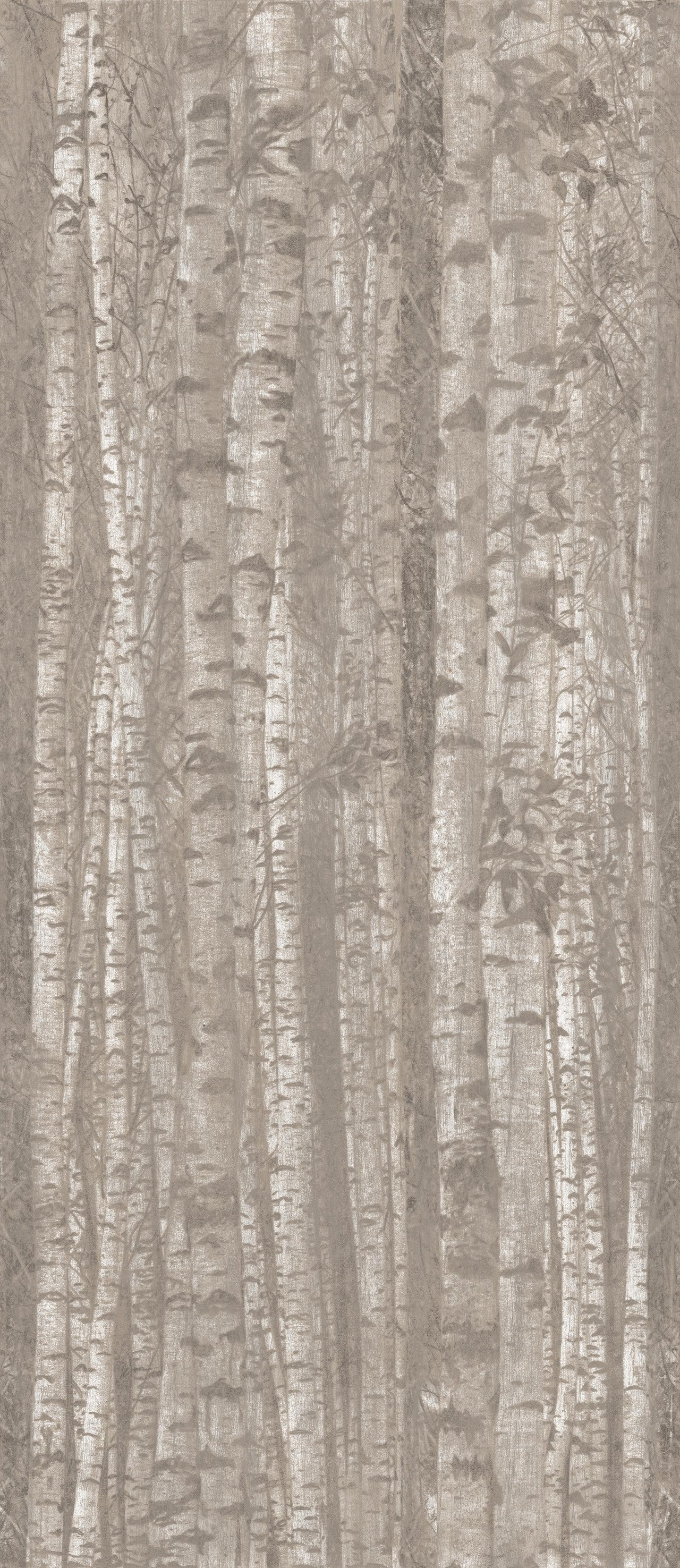 Boost Pro Grove 120x278 - 6mm - Gres Porcellanato di Atlas Concorde - Prezzo solo €269.50! Compra ora su CEGO CERAMICHE