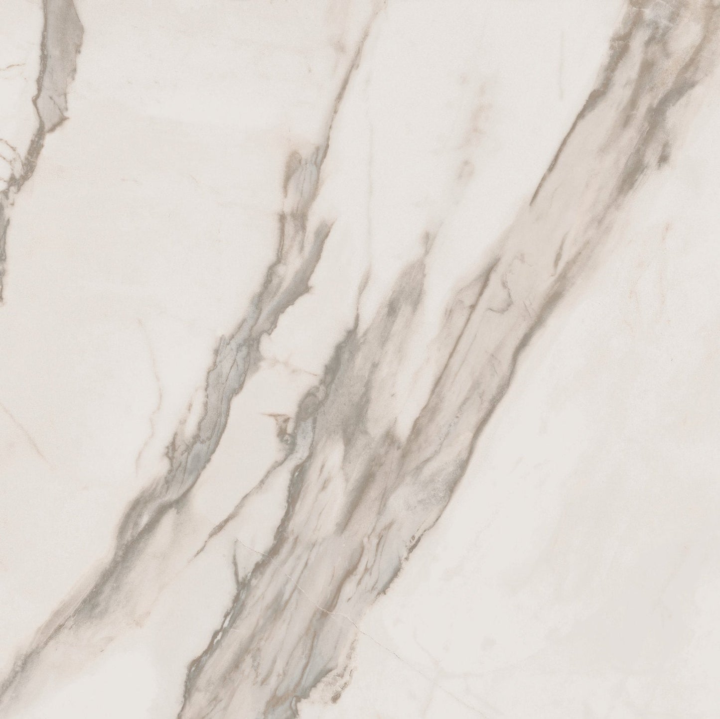 Sensi Up Calacatta Gold 80x80 Naturale - Gres Porcellanato di ABK - Prezzo solo €38.52! Compra ora su CEGO CERAMICHE