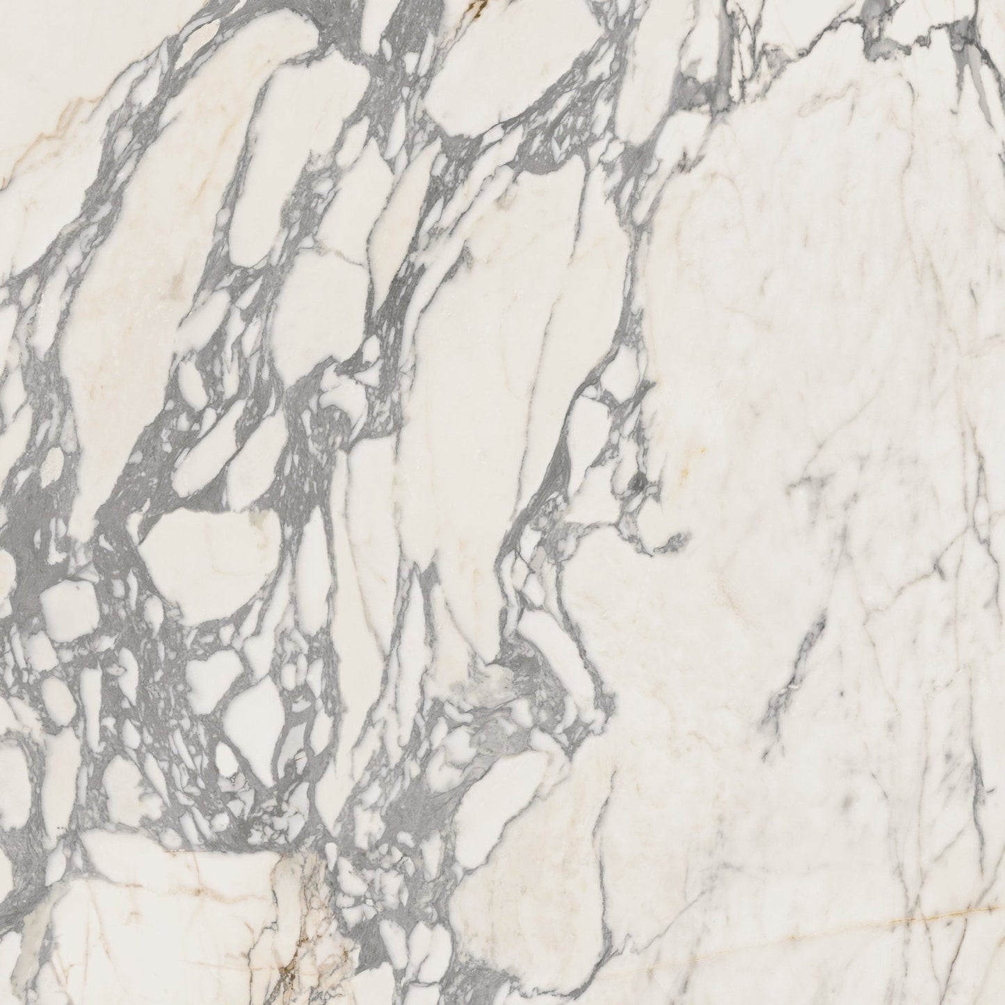 Epoque 21 Arabescato 80x80 nat - Gres Porcellanato di Ariana Ceramiche - Prezzo solo €39! Compra ora su CEGO CERAMICHE