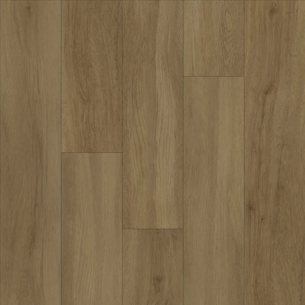 Evolution Tack Dry Plus Rovere Americano TD4489 185x1500