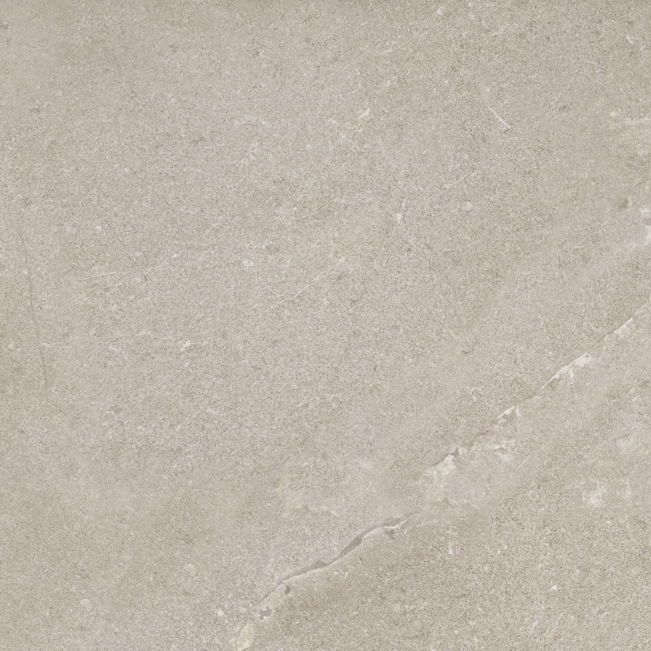 Cotto Petrus New Stone Lepre 120x120 Rett