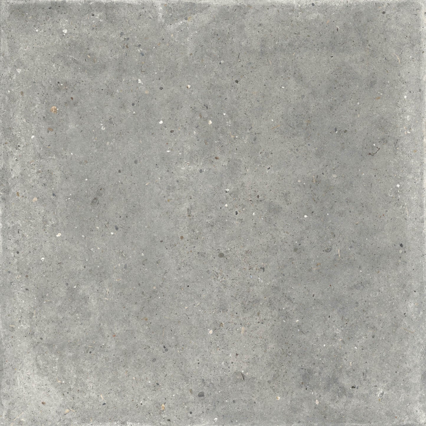 Gardenia&Ariana Anima Grigio P-Tech Rettificato 8,5mm 120x120