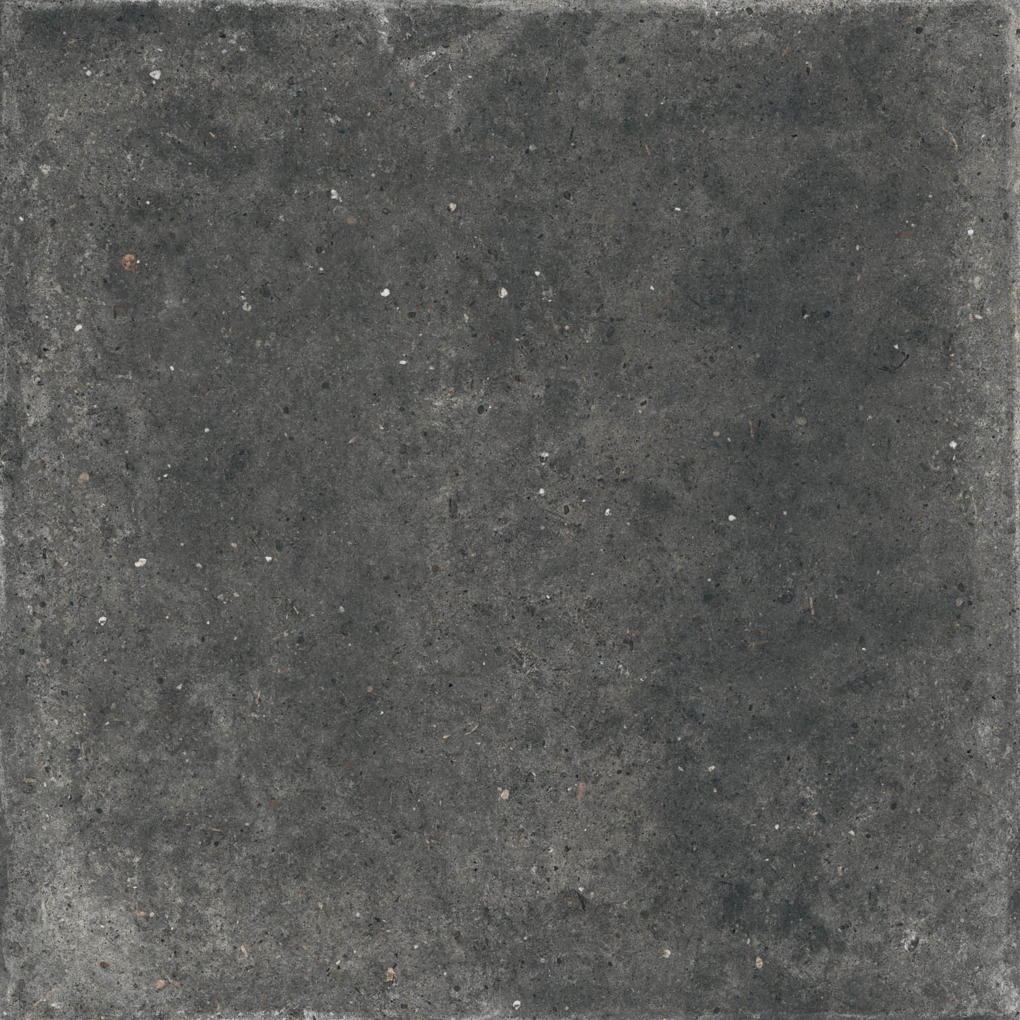Gardenia&Ariana Anima Fumo P-Tech Rettificato 8,5mm 120x120