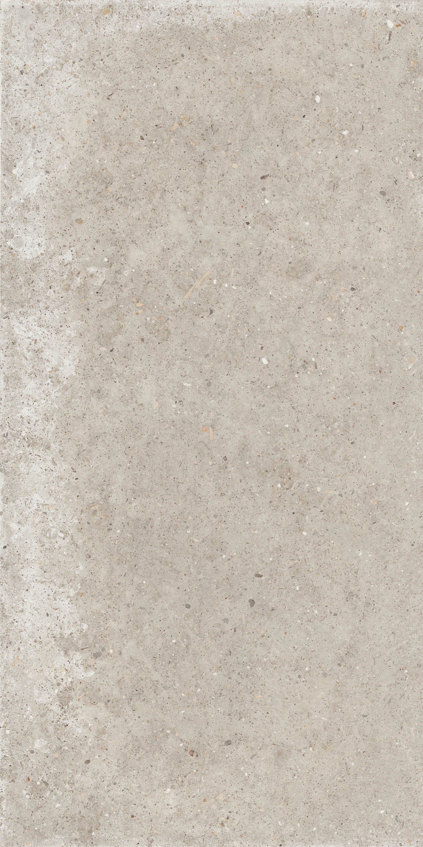 Gardenia&Ariana Anima Beige R11 Rettificato 20mm 60x120