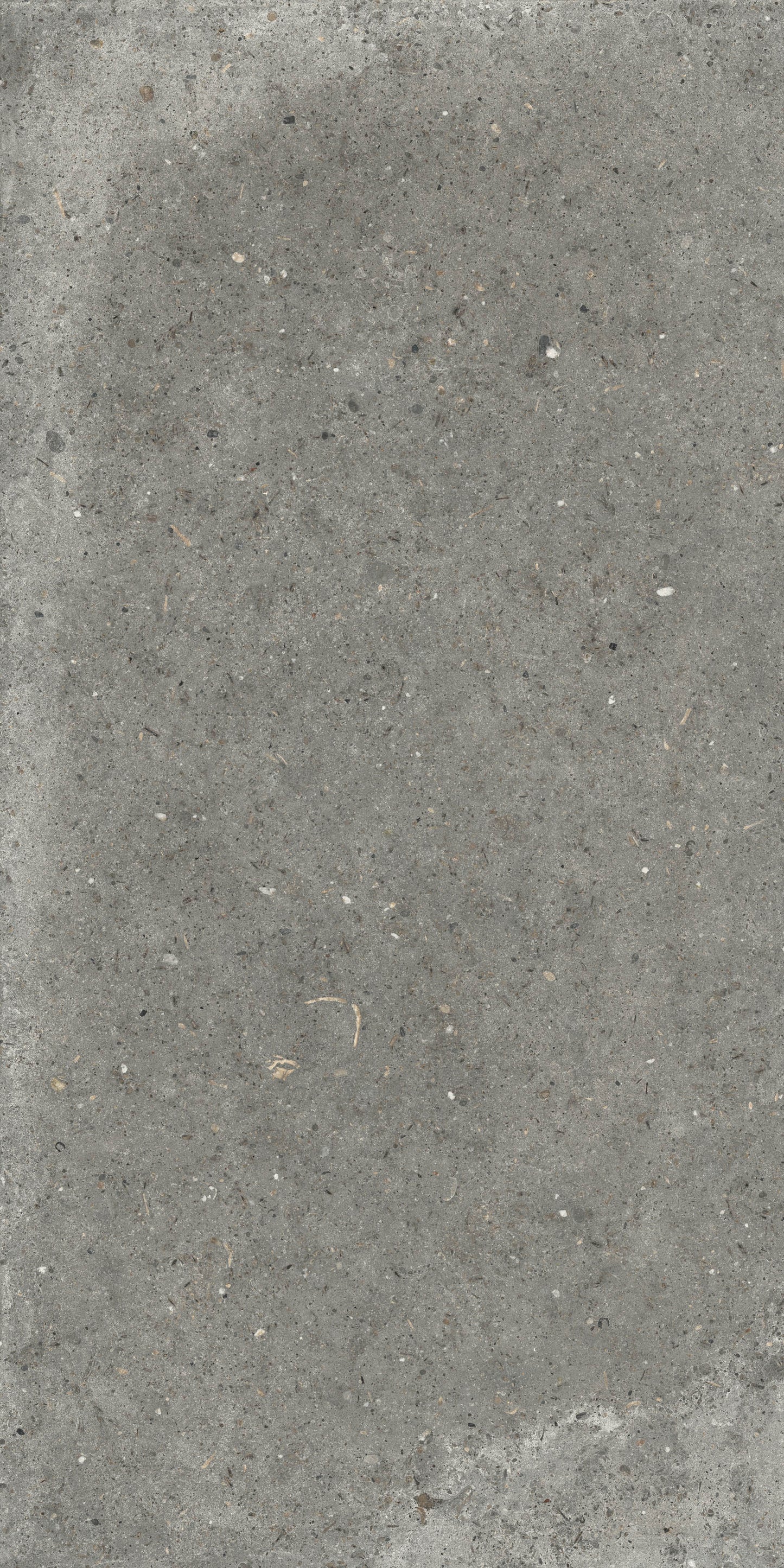 Gardenia&Ariana Anima Fango P-Tech Rettificato 8,5mm 60x120