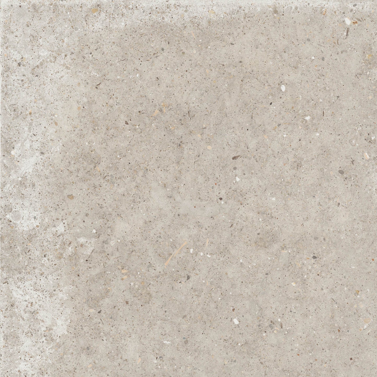 Gardenia&Ariana Anima Beige P-Tech Rettificato 8,5mm 60x60