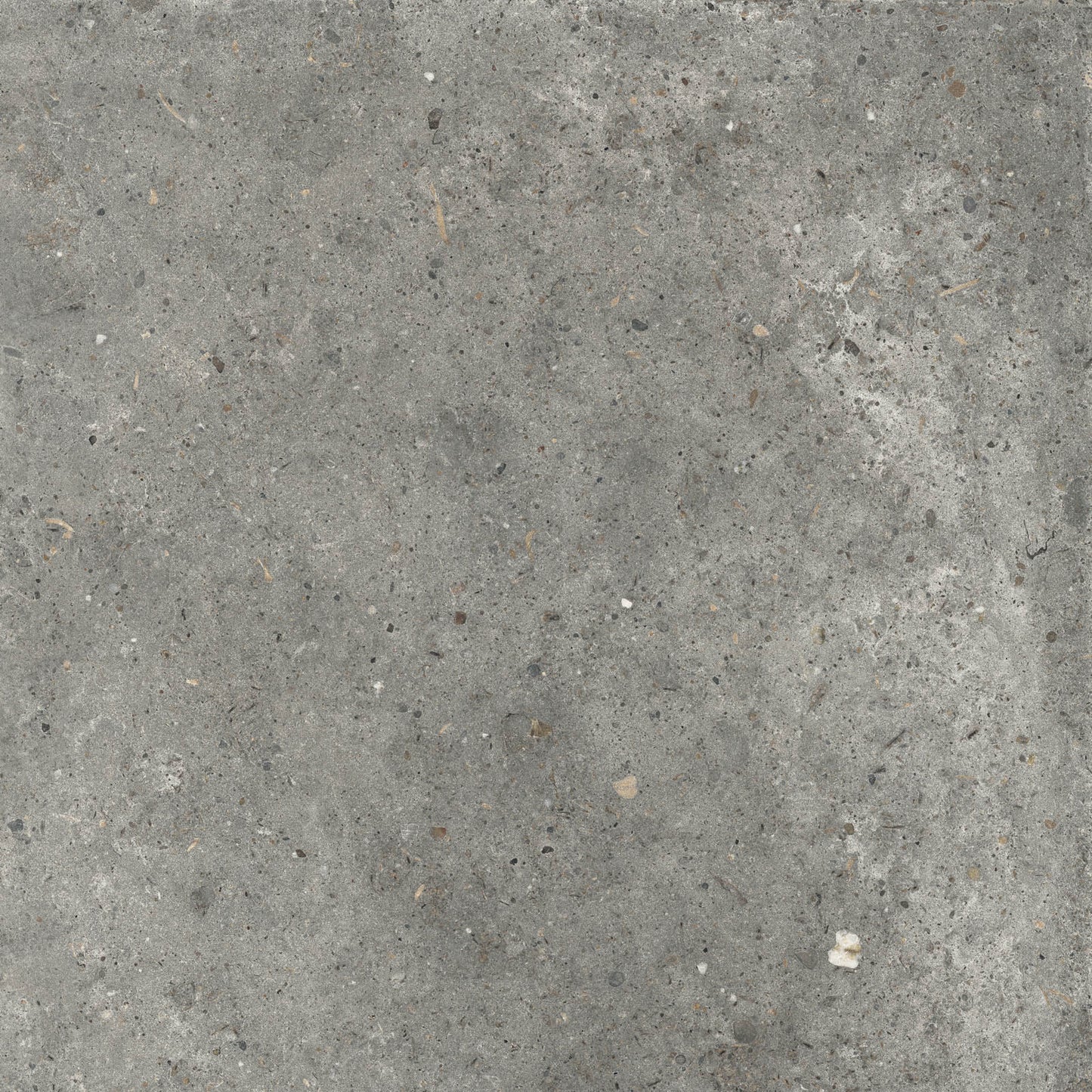 Gardenia&Ariana Anima Fango P-Tech Rettificato 8,5mm 60x60