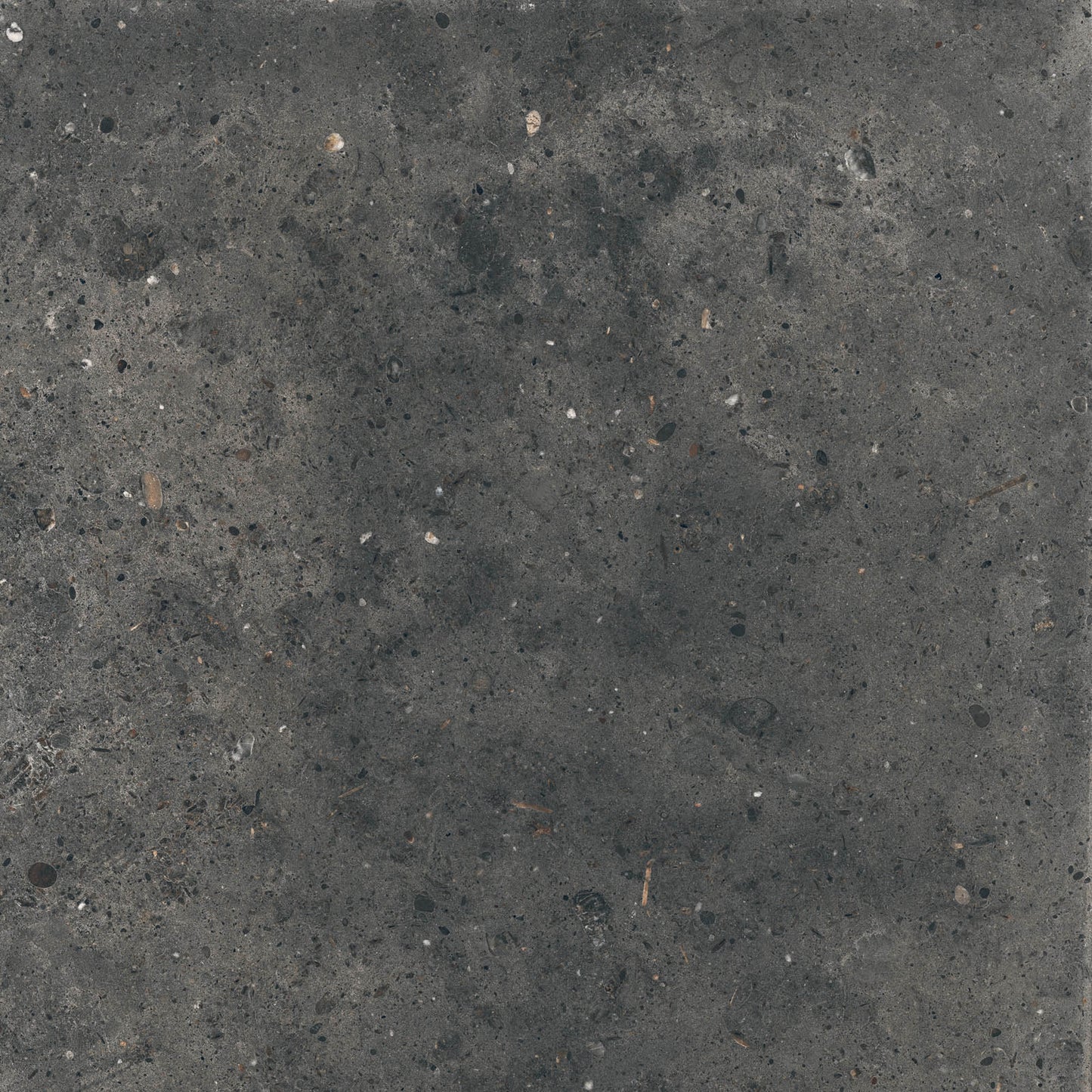 Gardenia&Ariana Anima Fumo P-Tech Rettificato 8,5mm 60x60