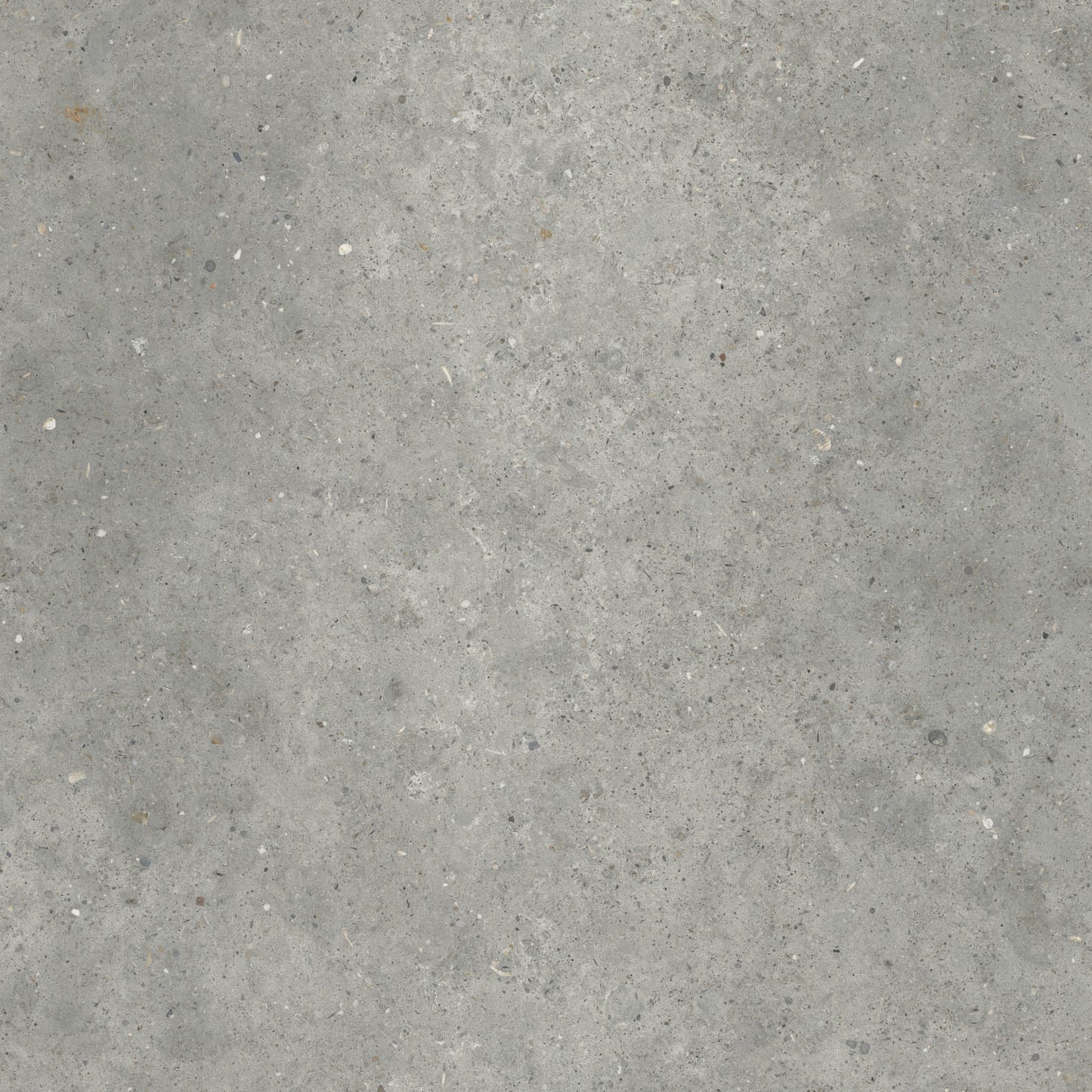 Gardenia&Ariana Anima Grigio R11 Rettificato 20mm 80x80