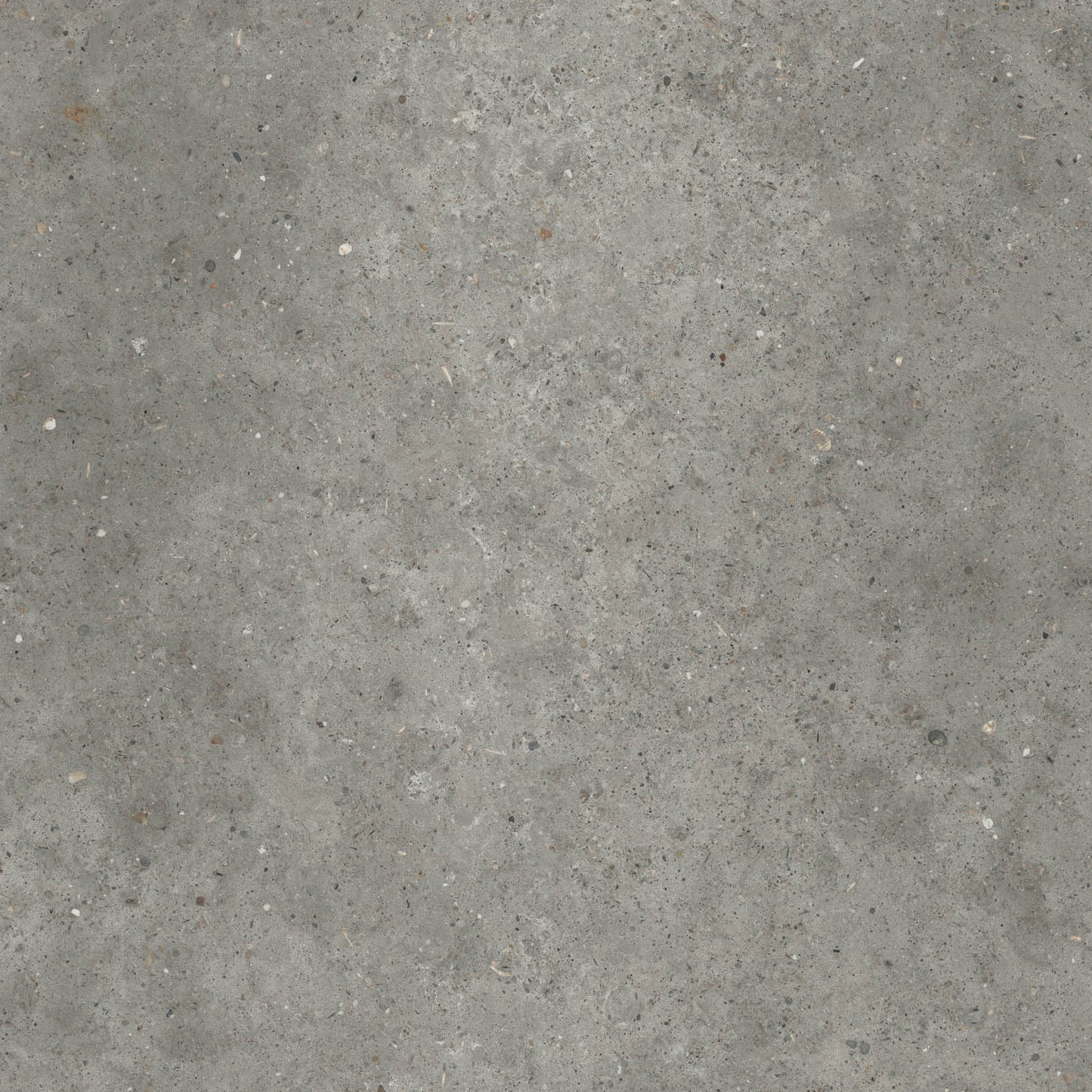 Gardenia&Ariana Anima Fango R11 Rettificato 20mm 80x80