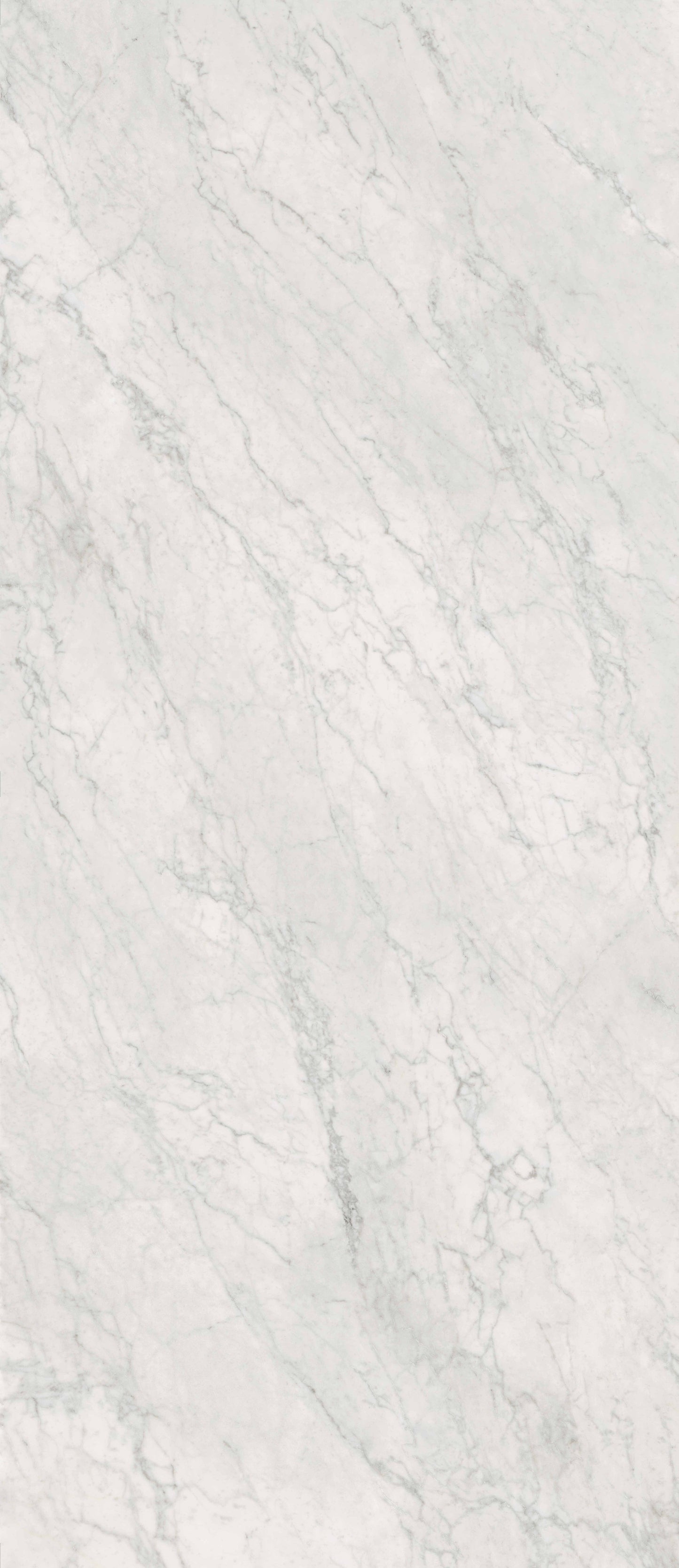 Gardenia&Ariana Bon Ton Carrara Soft 3D Rettificato 6mm 120x280