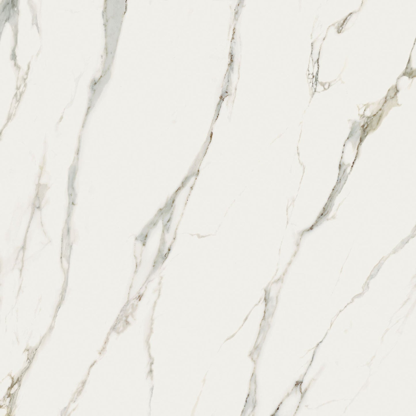 Sensi Signoria Calacatta Michelangelo 120x120 P.Tech - Gres Porcellanato di ABK - Prezzo solo €119.47! Compra ora su CEGO CERAMICHE
