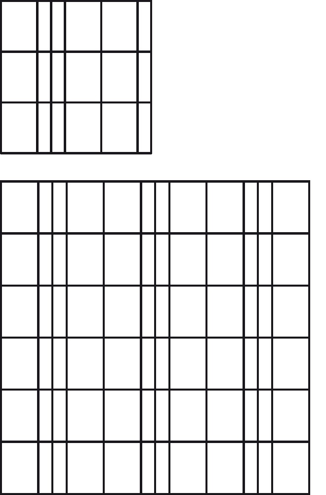 CESI Full Body Ruggine 10x10 Tratto Schema 4 su rete