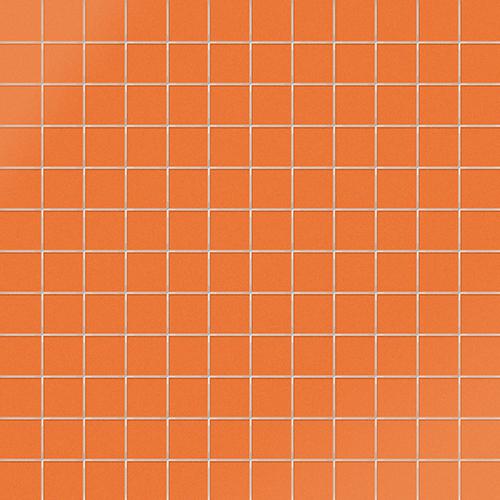 CESI Lucidi Arenaria 2,5x2,5 Mosaico su rete