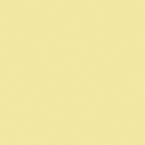 CESI Matt Banana 5x5