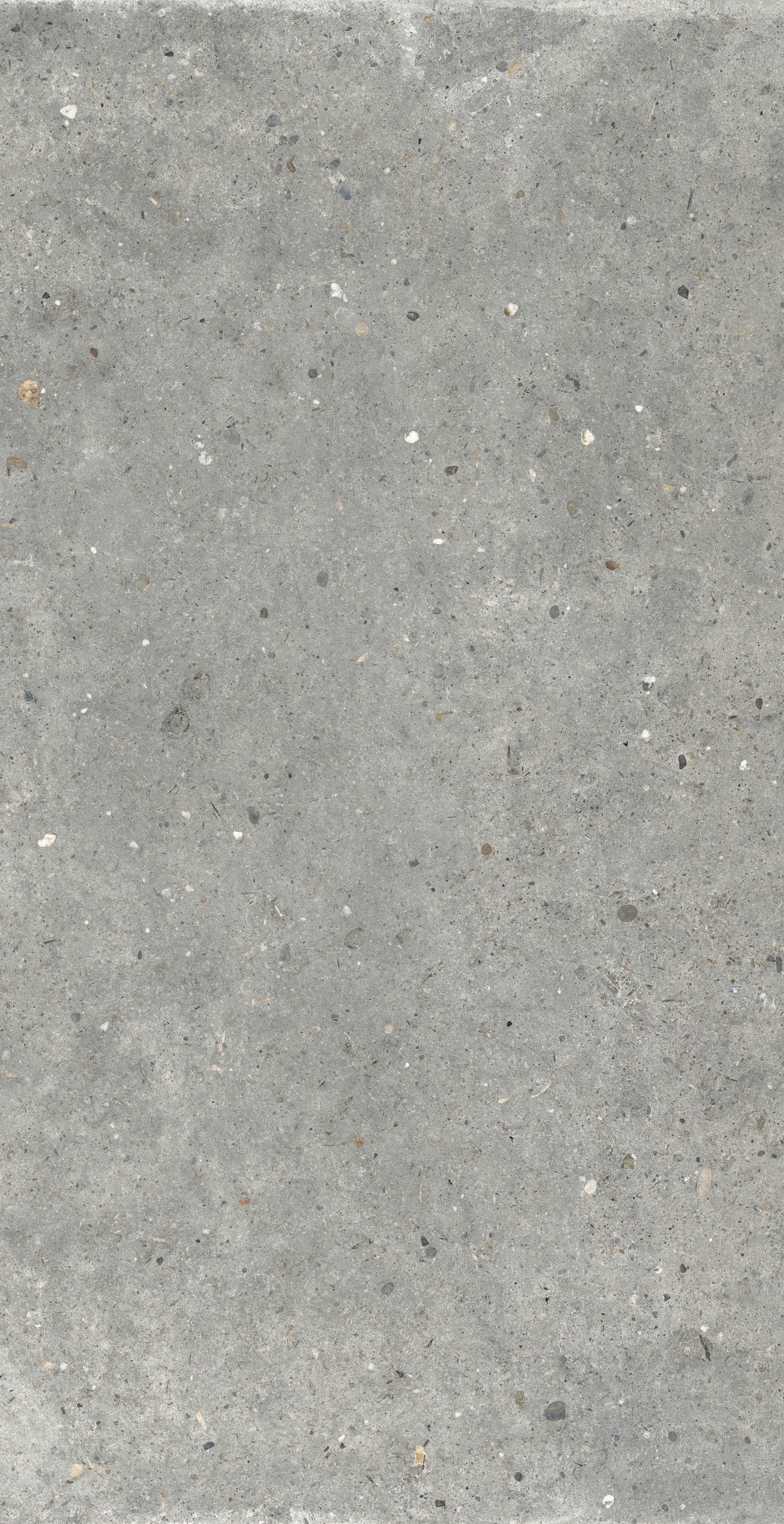 Gardenia&Ariana Anima Grigio R11 Rettificato 20mm 60x120