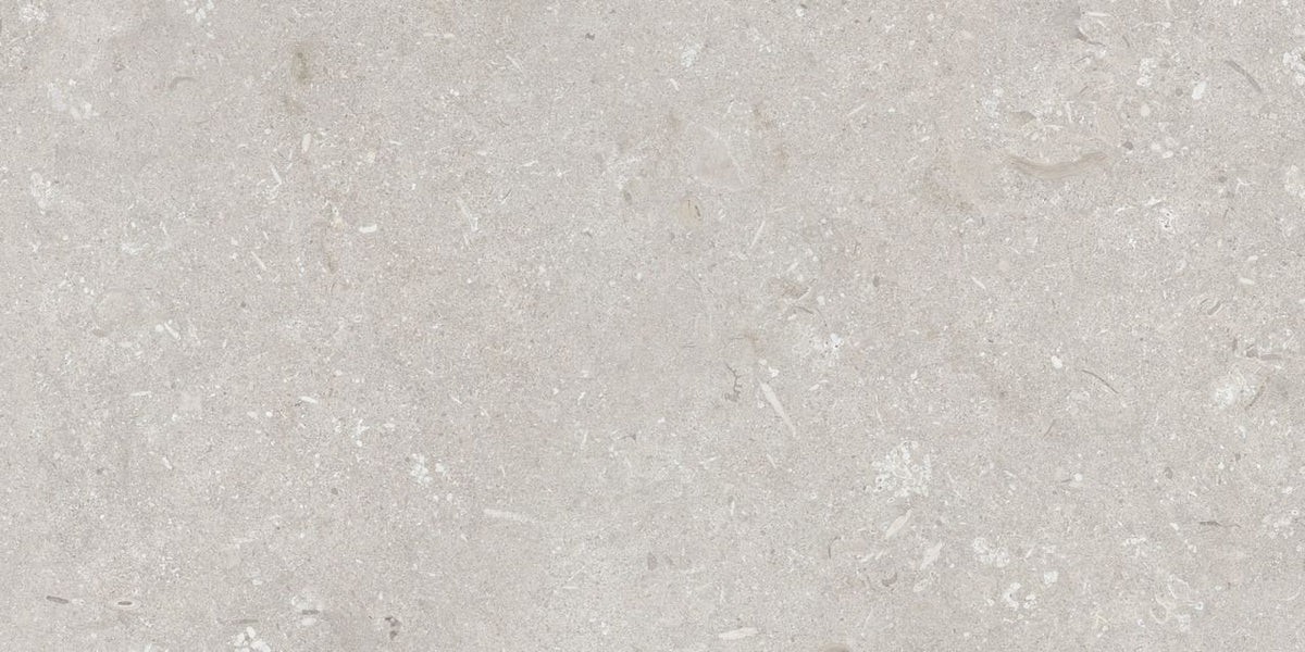 Minimale ufficiale - Cotto Petrus Ultra Shellstone Bianco 30 Mm 40x80