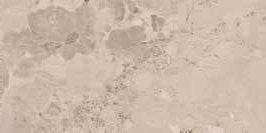 Campione di superficie ufficiale - Cotto Petrus Elegant Aria In 31x62