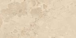 Campione di superficie ufficiale - Cotto Petrus Elegant Terra In 31x62