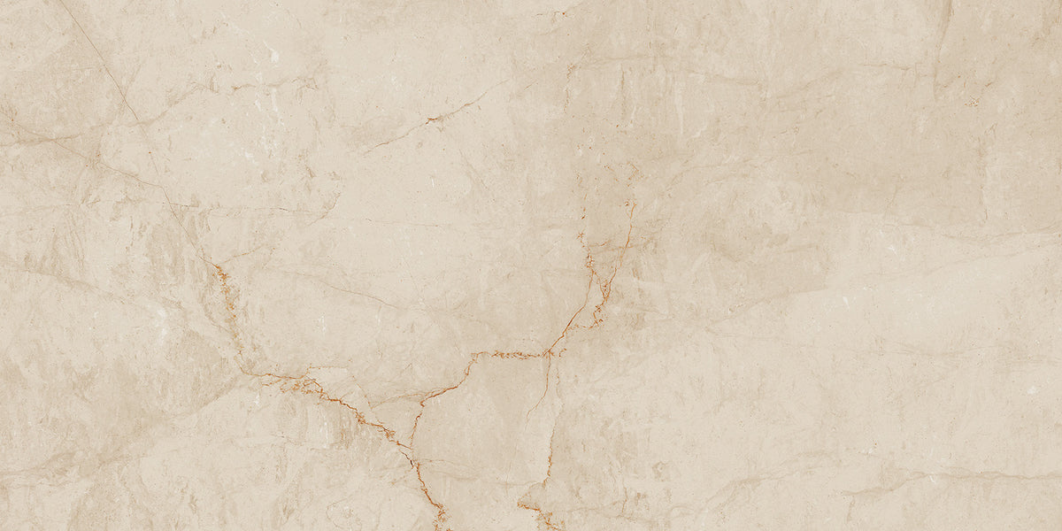 FAP Desert Tortora 60x120 Matt True Touch R9