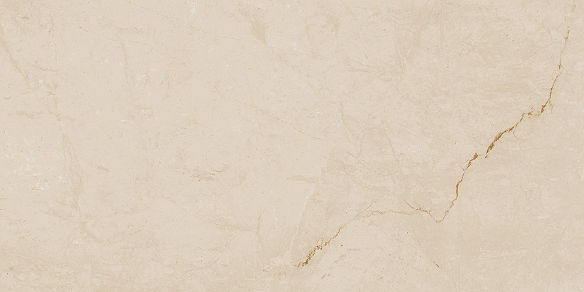 FAP Desert Tortora 30x60 Matt True Touch R10