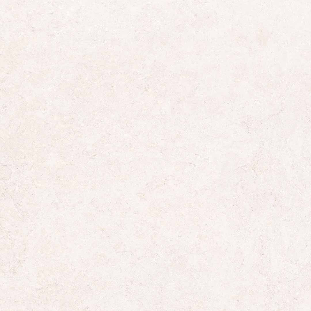 Gardenia&Ariana La Geoteca Limestone R11 Rettificato 20mm 80x80