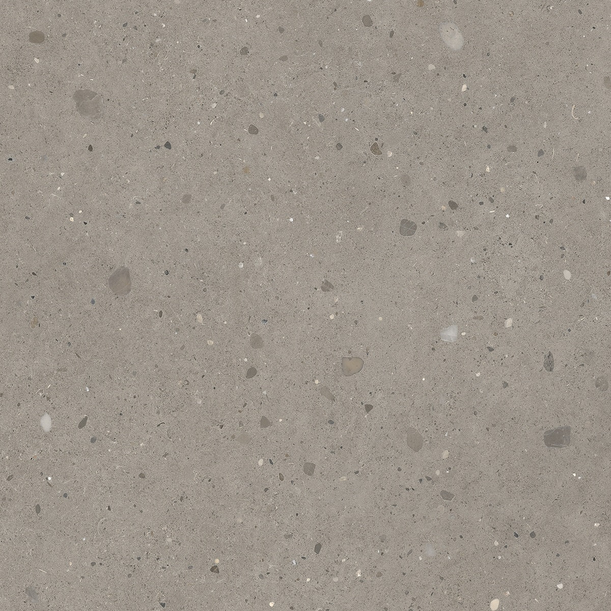 Fondovalle Keynote COOL GREY 80x80 — texture ufficiale