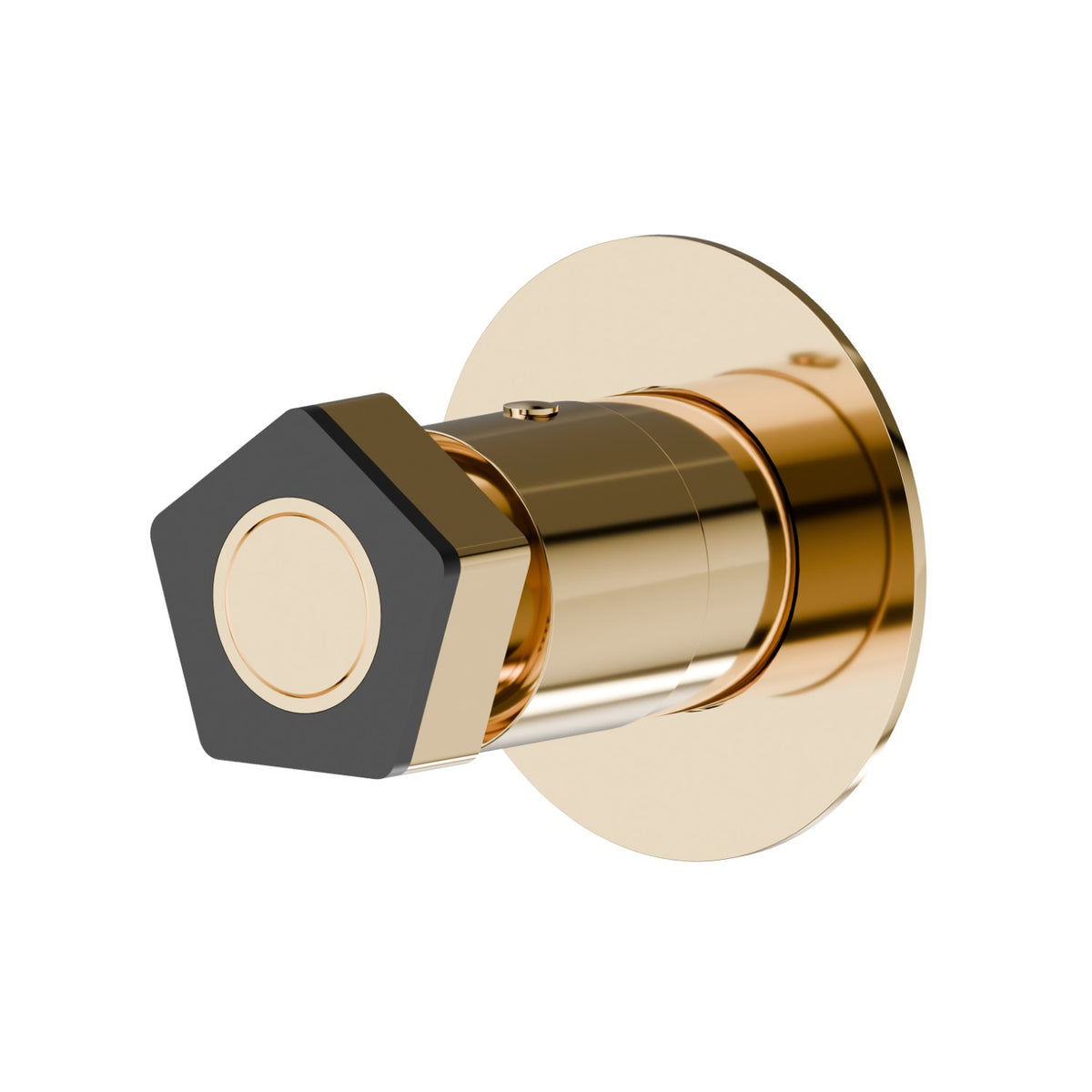 Newform 69806E - PVD Gold lucido + Nero opaco - codice 69806E.62.093