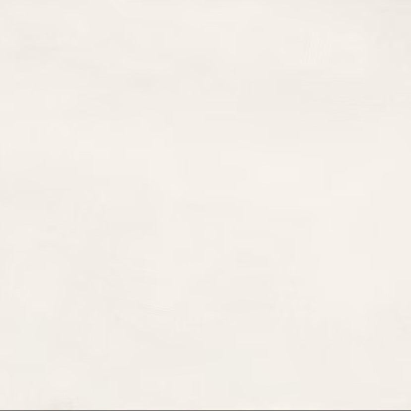 Ergon Pigmento Perla 60x60 Silktech