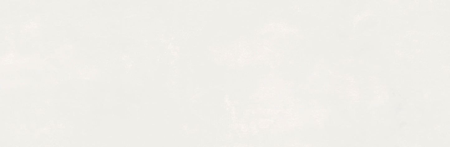 Ragno Now Bianco 25x76