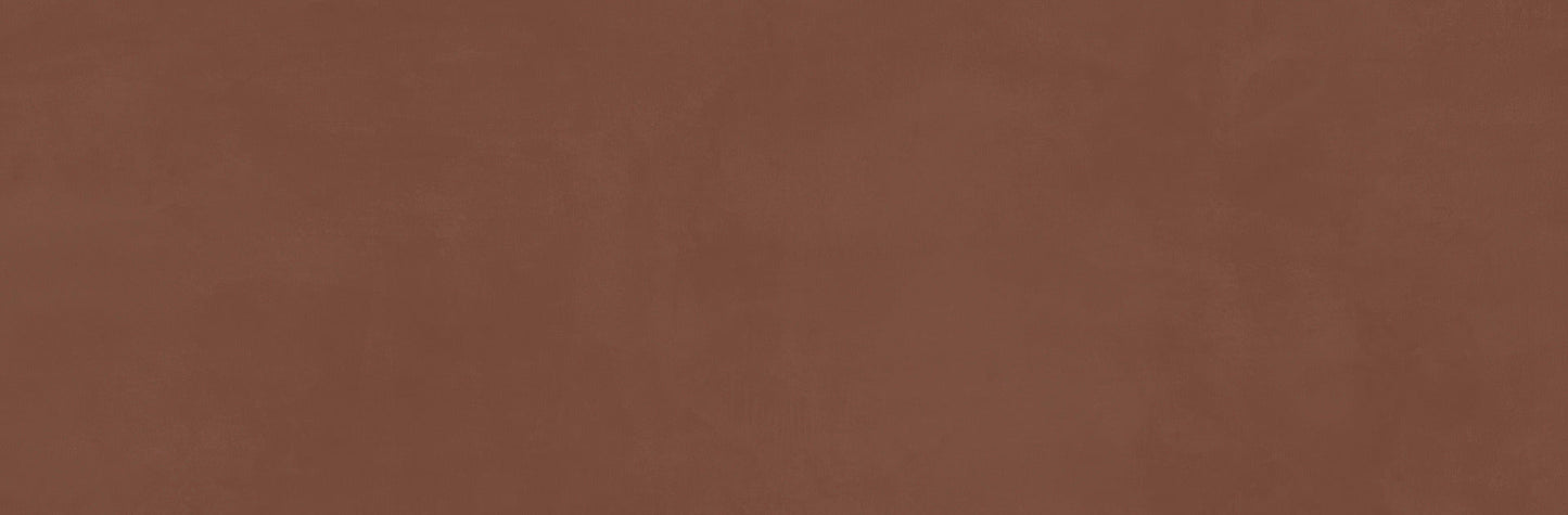 Ragno Now Terracotta 25x76