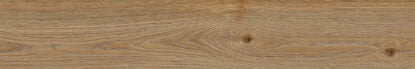 Ragno Secret Rovere Outdoor 20x120 Rt