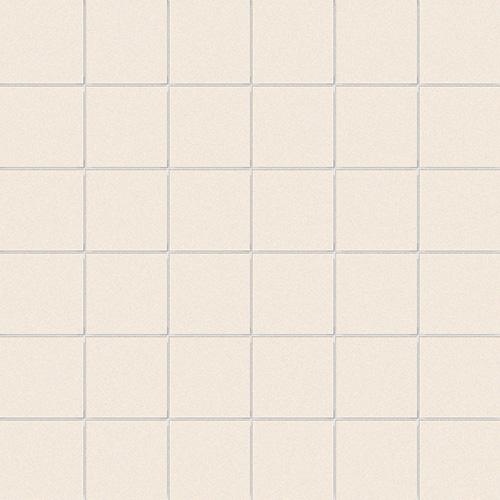CESI Full Body Sodio 5x5 Mosaico su Rete