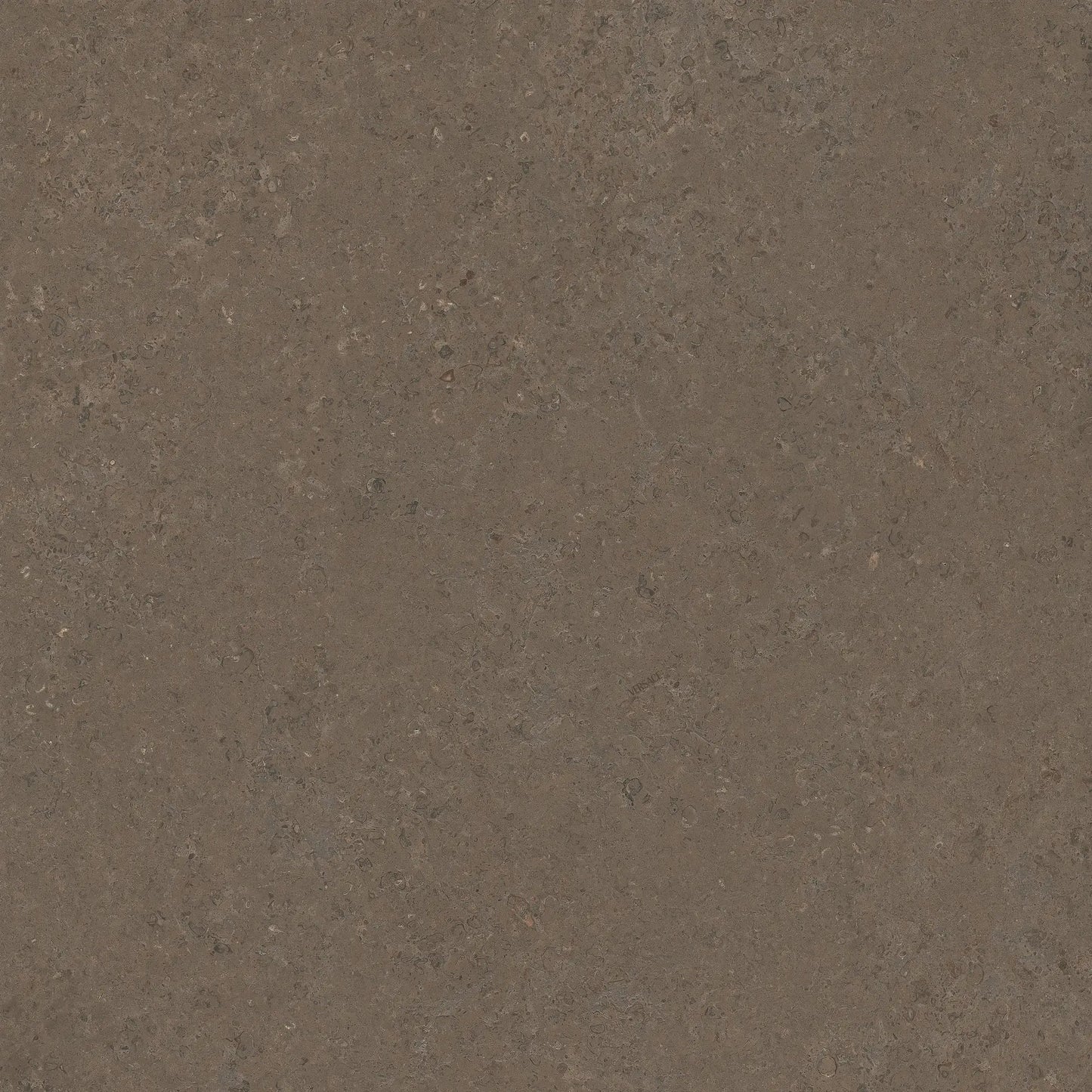 Versace V Stone Brown 60x60 Lappato