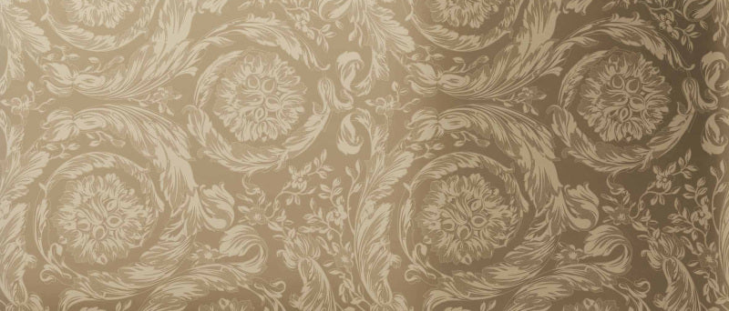 Minimale ufficiale - Versace Harmony Mirror Barocco Gold 120x280 Lux