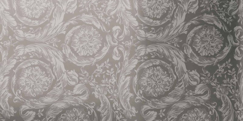 Minimale ufficiale - Versace Harmony Mirror Barocco Platinum 60x120 Lux