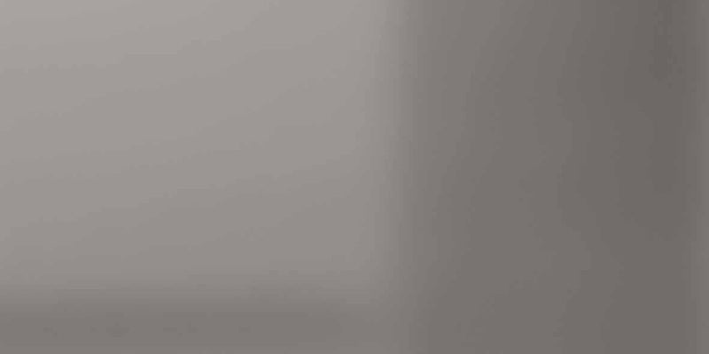 Minimale ufficiale - Versace Harmony Mirror Platinum 60x120 Lux