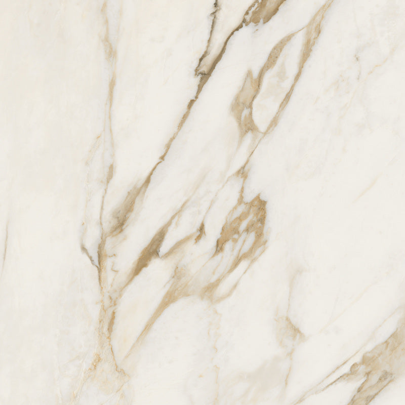 Minimale ufficiale - Versace Maximvs Calacatta Bright 60x60 Naturale P-Tech