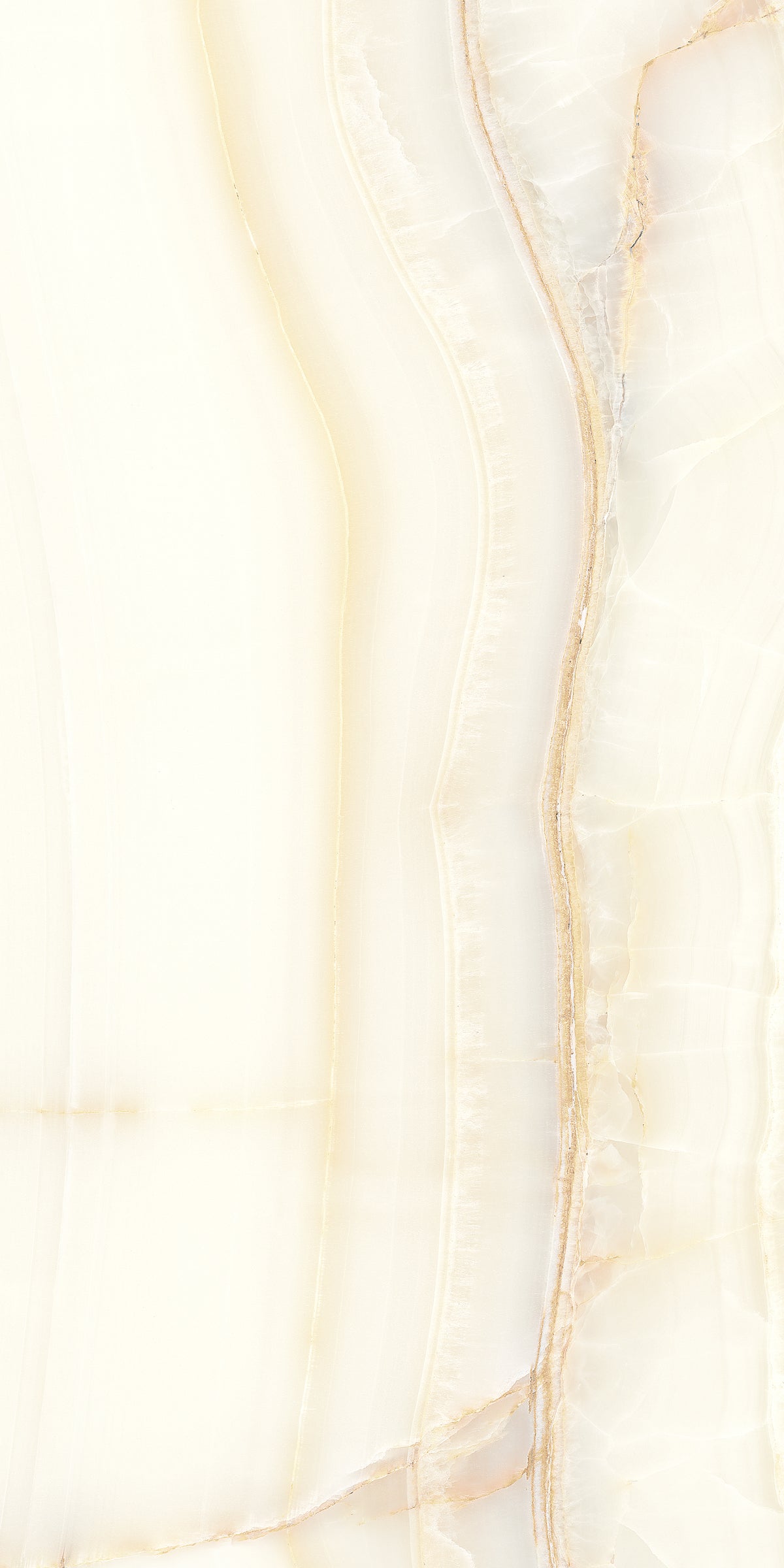 Aesthetica Wilde 60x120 lucida - Gres Porcellanato di LA FABBRICA AVA - Prezzo solo €60! Compra ora su CEGO CERAMICHE