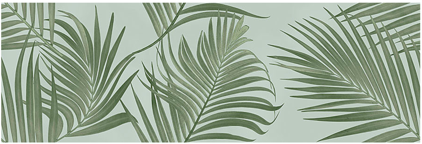 Spettacolo Decoro Foliage Verde 30x90 - Pasta Bianca di Cotto Petrus - Prezzo solo €54! Compra ora su CEGO CERAMICHE