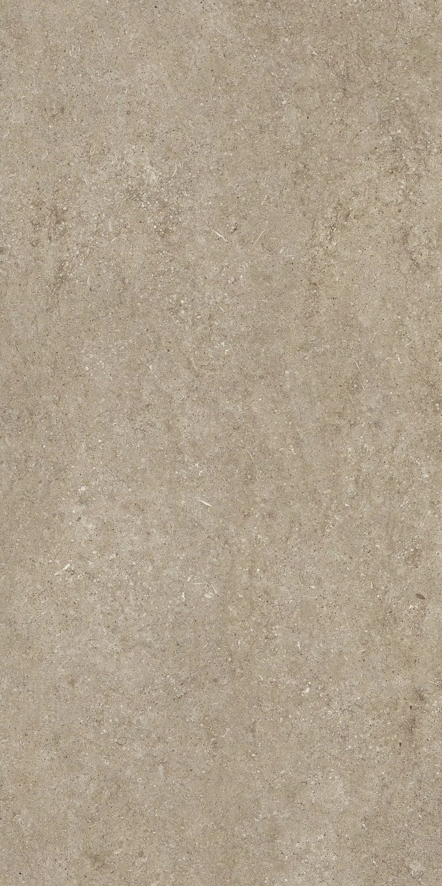Sensi Fossil Taupe 120x240 matte - Gres Porcellanato di Florim - Prezzo solo €169.36! Compra ora su CEGO CERAMICHE