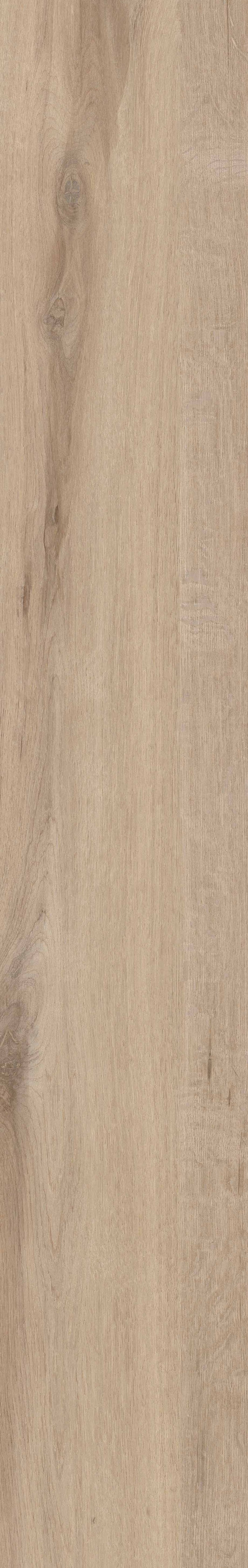 Gardenia&Ariana Tabulae Genuine Sabbia Naturale Rettificato 8,5mm 23,4x148