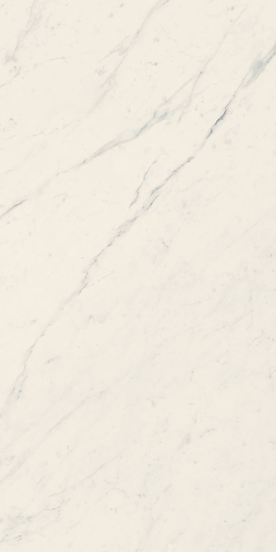 Gardenia&Ariana La Marmoteca Sahara White P-Tech Rettificato 8,5mm 60x120