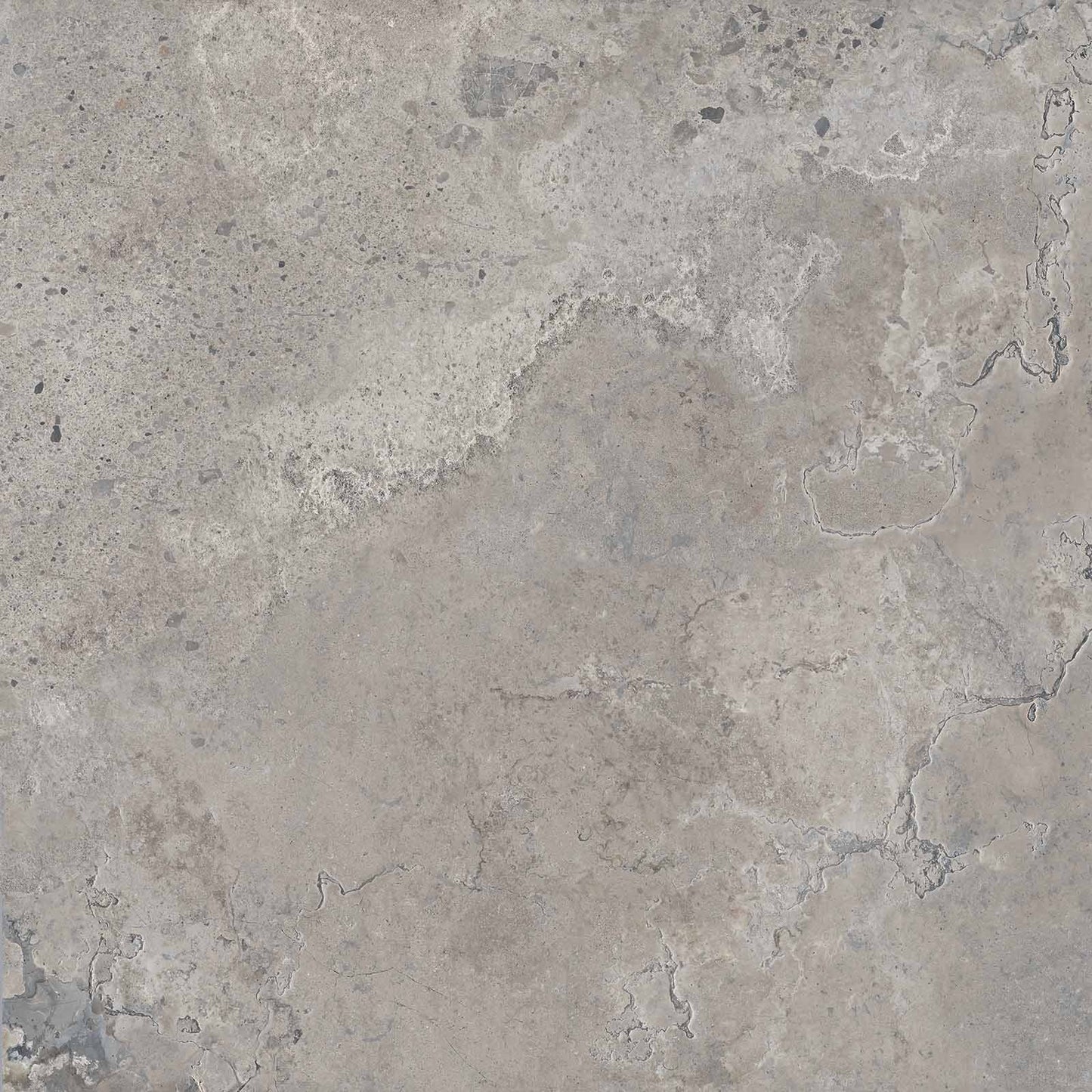 Gardenia&Ariana Pietra Viva Grey R11 Rettificato 20mm 80x80