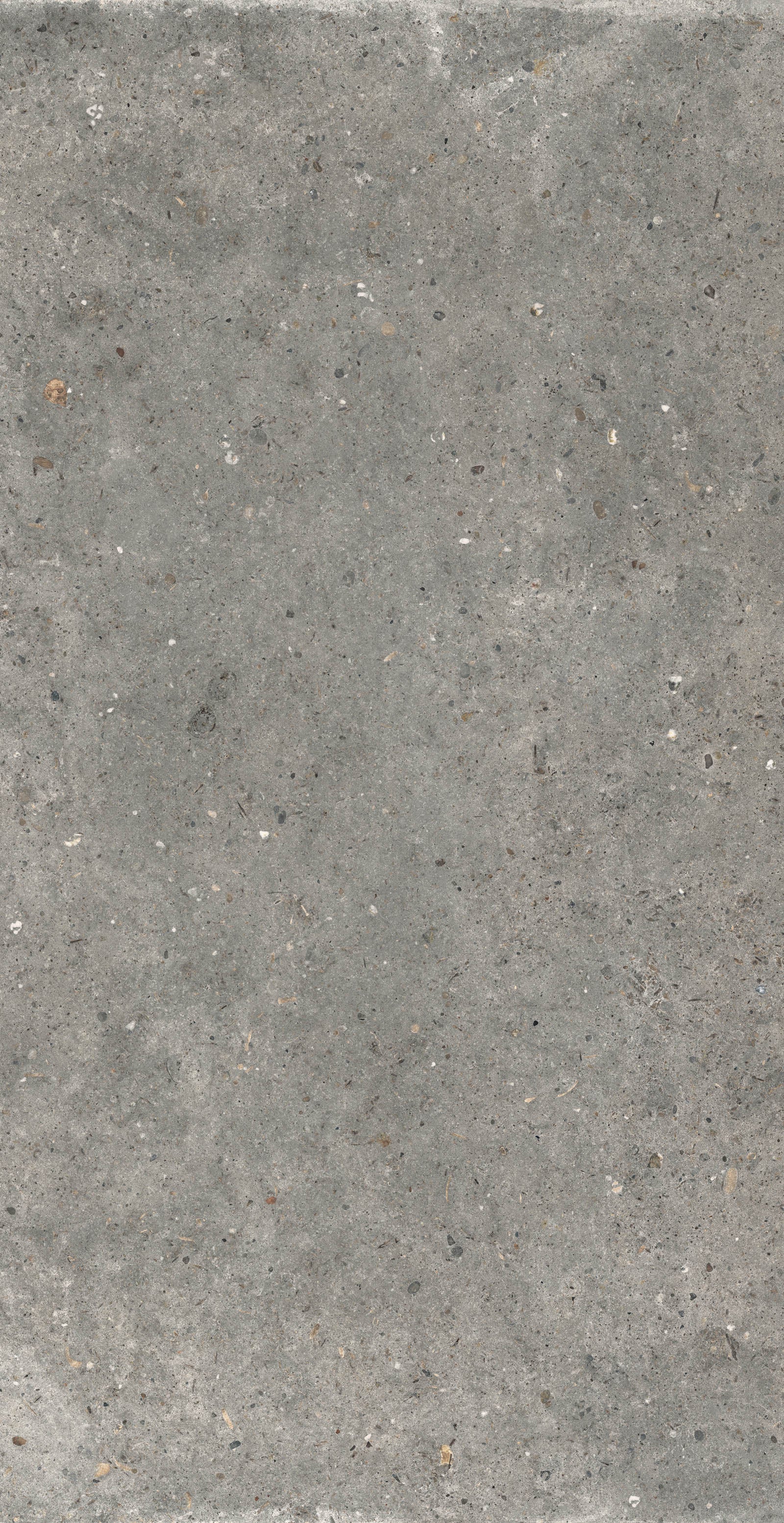 Gardenia&Ariana Anima Fango R11 Rettificato 20mm 60x120